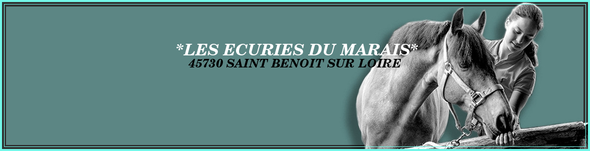 *LES ECURIES DU MARAIS*